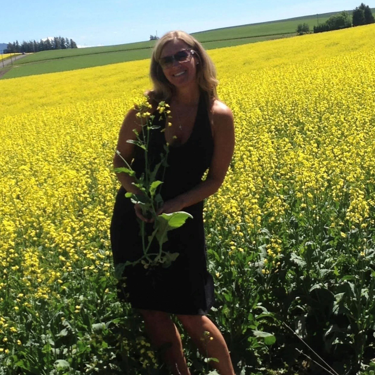 Canola Oil fields